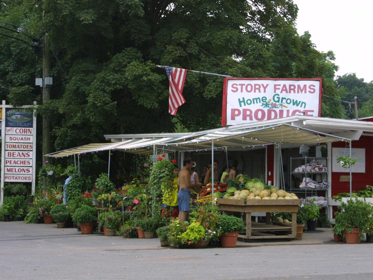 Story Farms Great Northern Catskills of Greene County